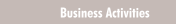 Business Activities